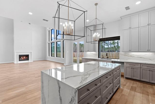 41692 Wendele Way, Todd Mission, TX 77316