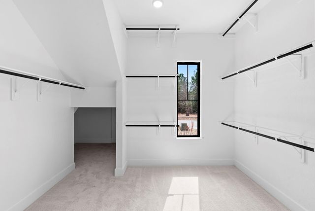 41692 Wendele Way, Todd Mission, TX 77316