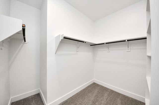 239 Bay Laurel Drive, Alvin, TX 77511