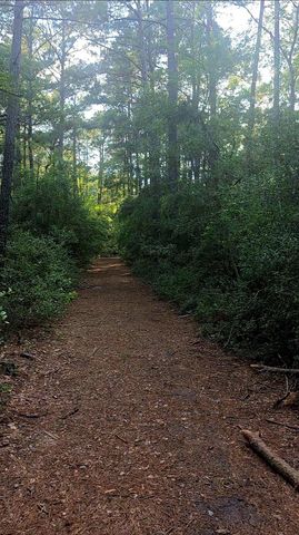 TBD Coral Bean Lane, Plantersville, TX 77363