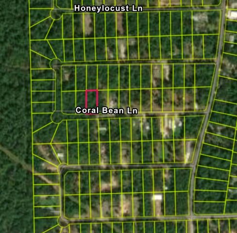 TBD Coral Bean Lane, Plantersville, TX 77363