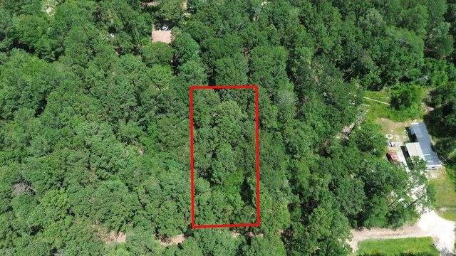 TBD Coral Bean Lane, Plantersville, TX 77363