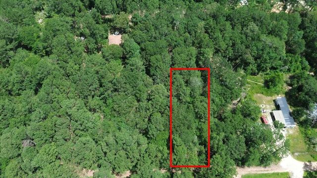 TBD Coral Bean Lane, Plantersville, TX 77363