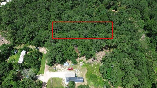 TBD Coral Bean Lane, Plantersville, TX 77363