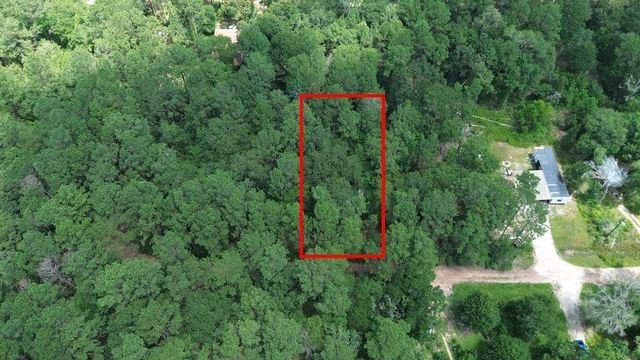 TBD Coral Bean Lane, Plantersville, TX 77363