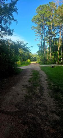 TBD Coral Bean Lane, Plantersville, TX 77363