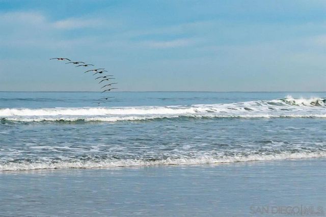 1060 America Way, Del Mar, CA 92014