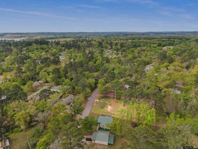 22221 Brierwood Dr, Frankston, TX 75763