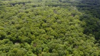 0 Deep Woods Rd, Sewanee, TN 37375