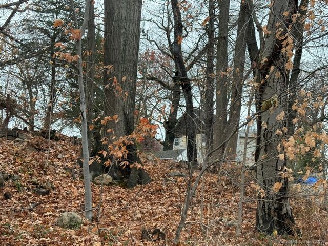 54 Agnes Street, Bridgeport, CT 06606