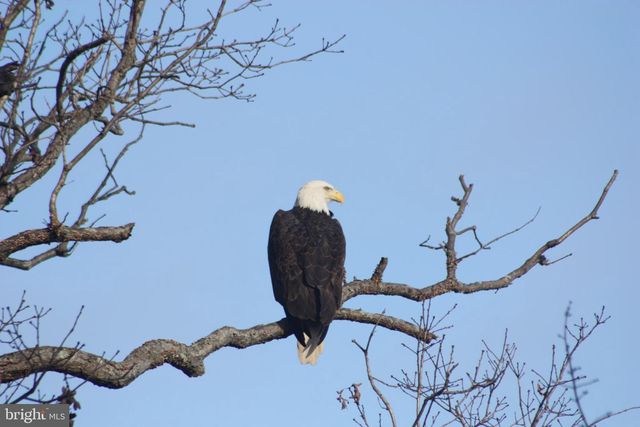 8220 WATERSIDE CT, Fort Washington, MD 20744