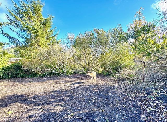 277 S Wynoochee Drive SW, Ocean Shores, WA 98569