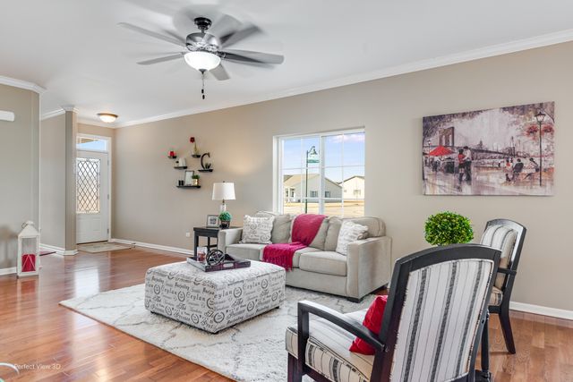 25703 S RIVERS PLAZA Drive, Channahon, IL 60410