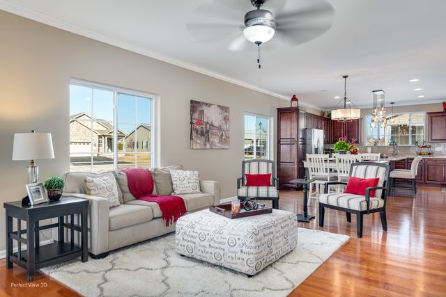 25703 S RIVERS PLAZA Drive, Channahon, IL 60410