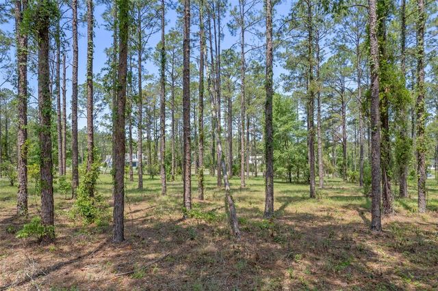35408 PINEGATE TRAIL, Eustis, FL 32736