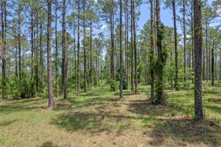 35408 PINEGATE TRAIL, Eustis, FL 32736