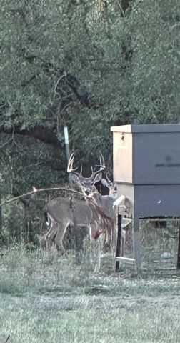 320 Valley Oak DR, Dripping Springs, TX 78620