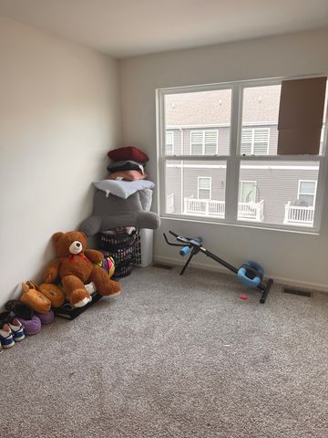17314 Roscommon Road, Tinley Park, IL 60477