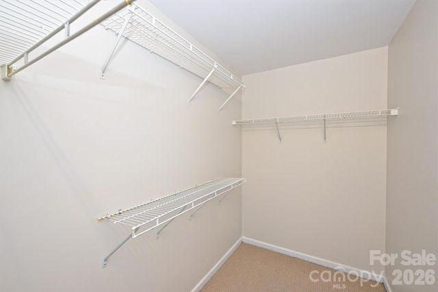 1605 Royal Tree Court, Charlotte, NC 28216