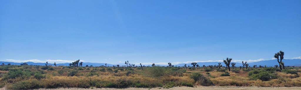 Vic Ave G12 & 18th St East, Lancaster, CA 93535