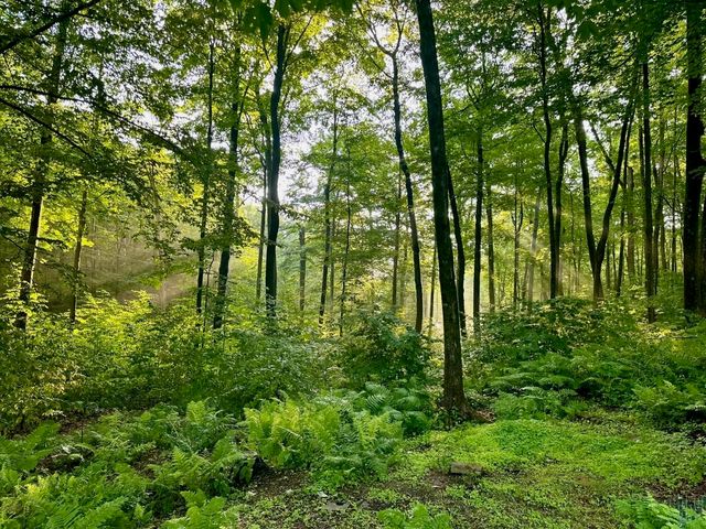 515 Quarry Road, Bennington, VT 05201