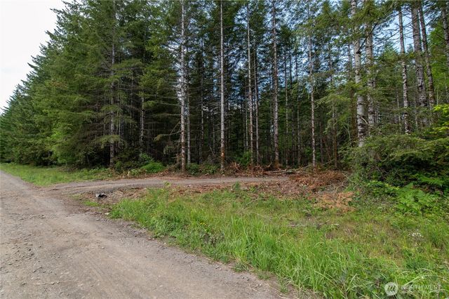 0 E Elaine Place, Belfair, WA 98528