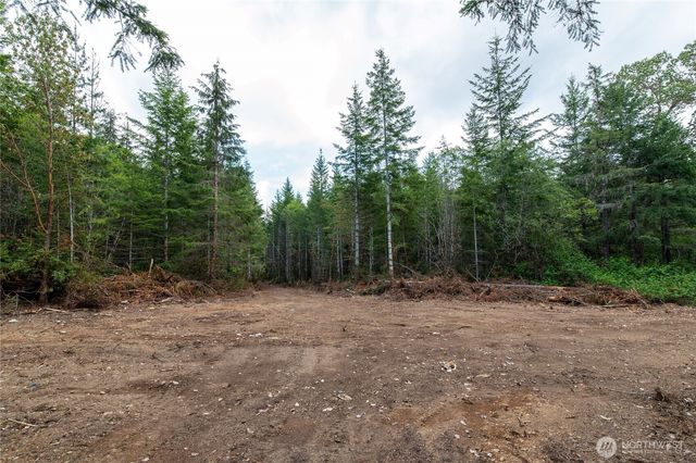0 E Elaine Place, Belfair, WA 98528