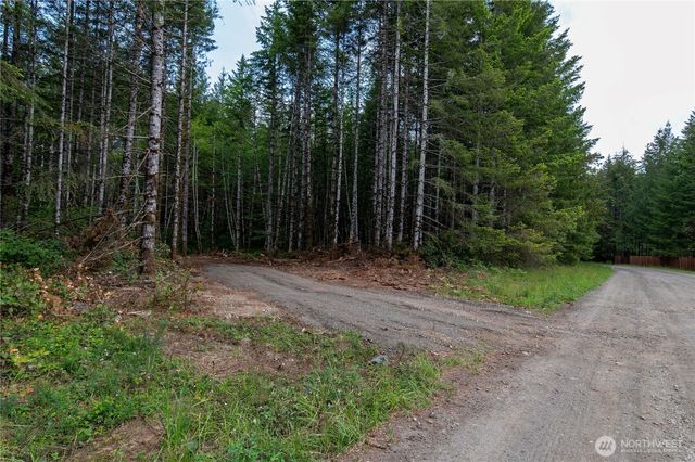 0 E Elaine Place, Belfair, WA 98528