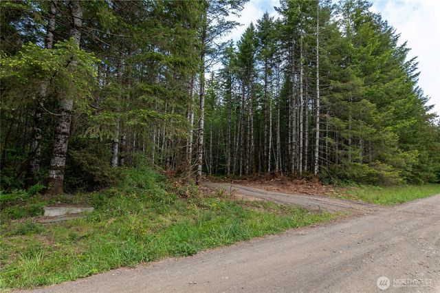 0 E Elaine Place, Belfair, WA 98528