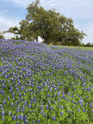 1041 Naranjo DR, Georgetown, TX 78628