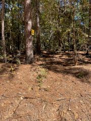 0 Monroe Drive, Livingston, TX 77351