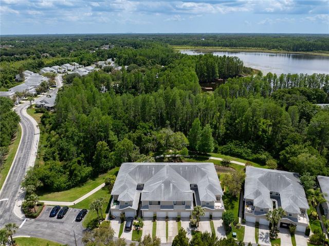 22128 LITTLE LAGOON COURT, Lutz, FL 33549