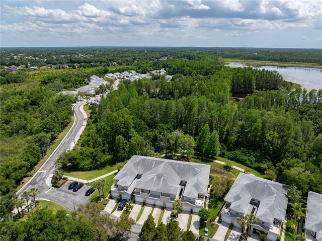 22128 LITTLE LAGOON COURT, Lutz, FL 33549