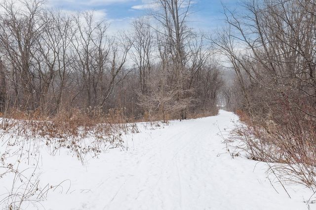 303 Bluff Road, Carver, MN 55315