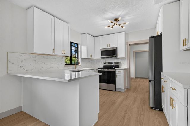 209 S SAINT CLOUD AVENUE, Valrico, FL 33594