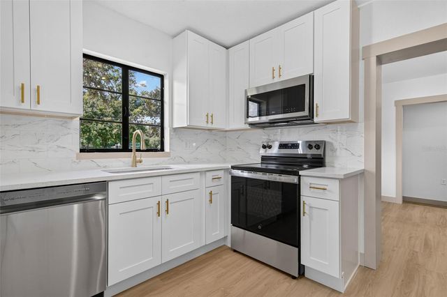 209 S SAINT CLOUD AVENUE, Valrico, FL 33594