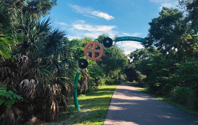 510 RYANS WOODS LANE, Palm Harbor, FL 34683