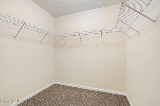 3158 COLD LEAF Way, Green Cove Springs, FL 32043