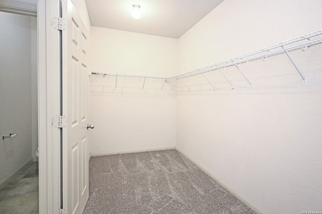 2231 HAWK DR, New Braunfels, TX 78130