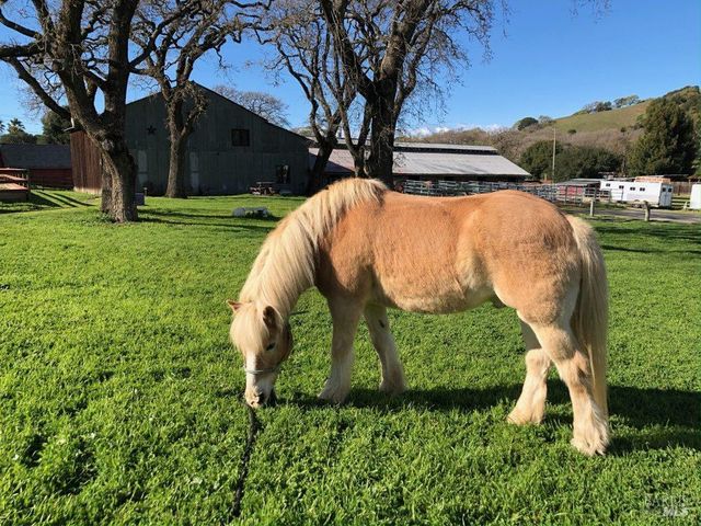 15 Wildwood Ln, Novato, CA 94947