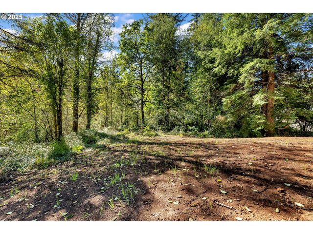 36413 Ne 267TH St, Yacolt, WA 98675