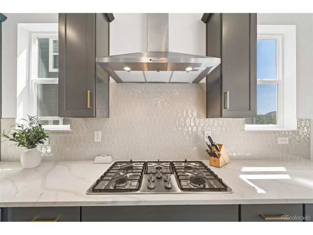 16526 Black Rose Cir, Parker, CO 80134