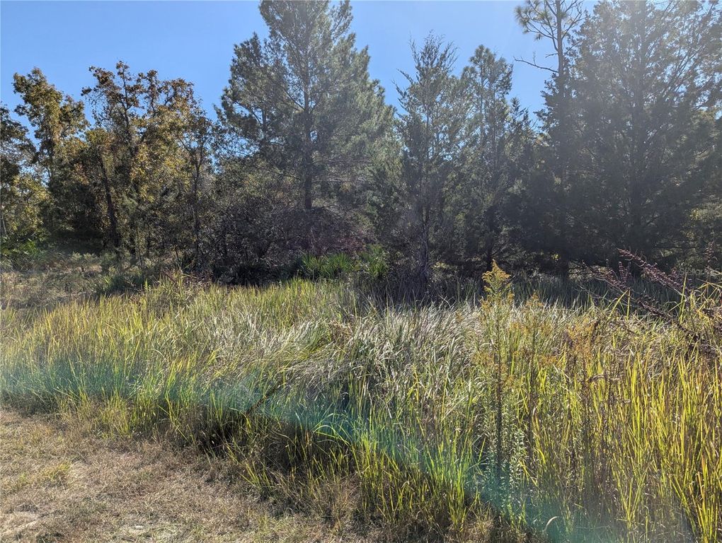 11240 FOOL DUCK AVENUE, Weeki Wachee, FL 34613