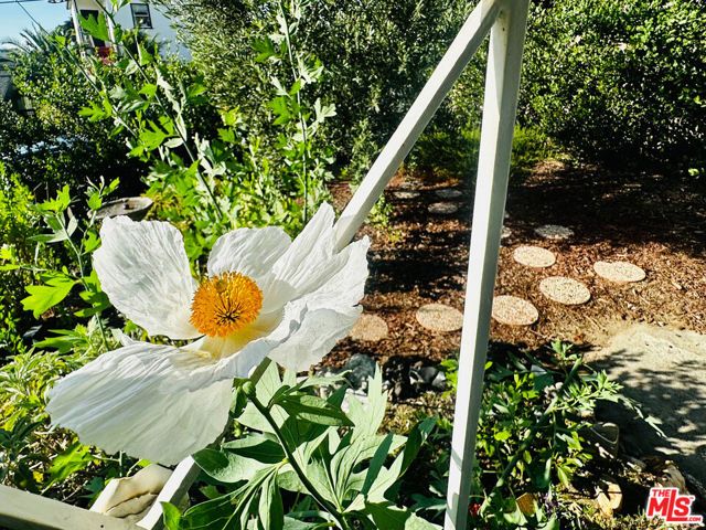 1756 Lucretia Avenue, Los Angeles, CA 90026