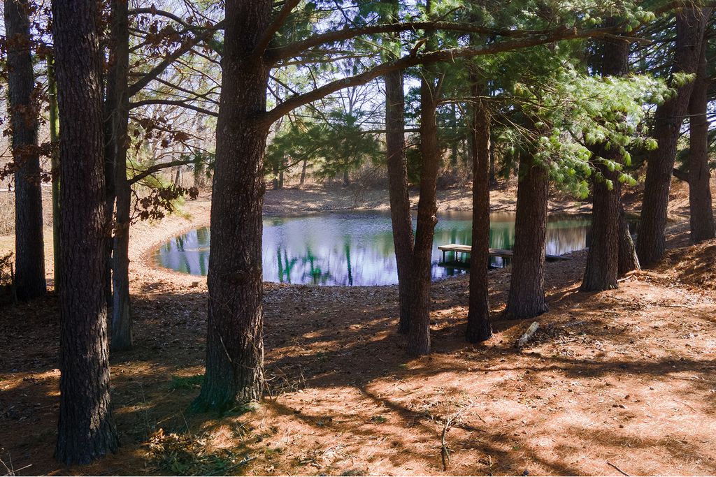 Image 68 of property listing at 16578 N Oak Hill Lane, Mt Vernon, IL 62864