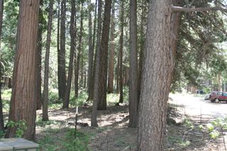 Lot 61 Starlite Pines Rd, Shingletown, CA 96088