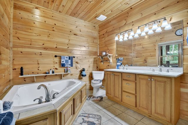 2587 Goose Island Road, Cherry Log, GA 30522