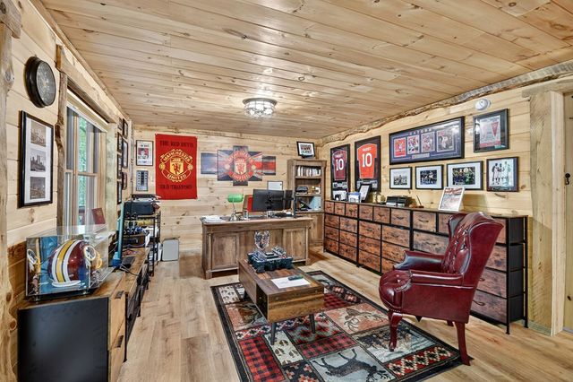 2587 Goose Island Road, Cherry Log, GA 30522