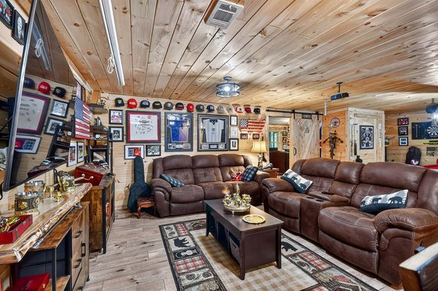 2587 Goose Island Road, Cherry Log, GA 30522
