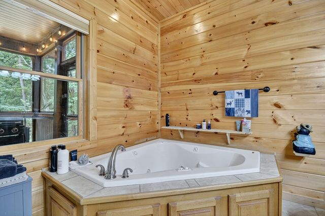 2587 Goose Island Road, Cherry Log, GA 30522